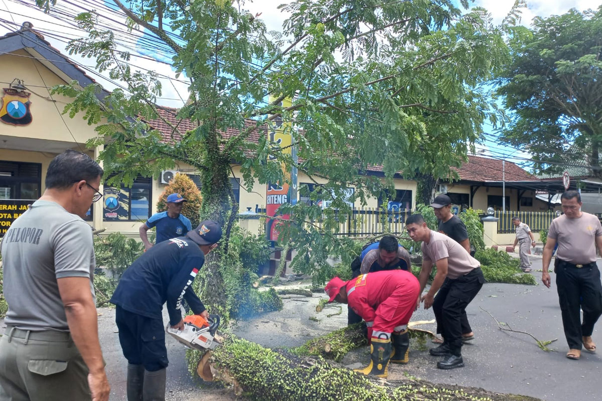 Pohon-trembesi-besar-tumbang-nyaris-menimpa-kantor-Polsek-Genteng-b.jpg