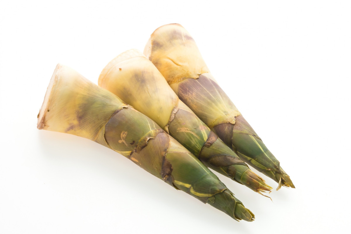 Rebung, Pangan Tradisional Kaya Serat yang Efektif Tekan Kolesterol dan Gula Darah