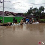 Tanggul Tua Jebol Subuh, 250 Rumah di Pladen Kudus Terendam