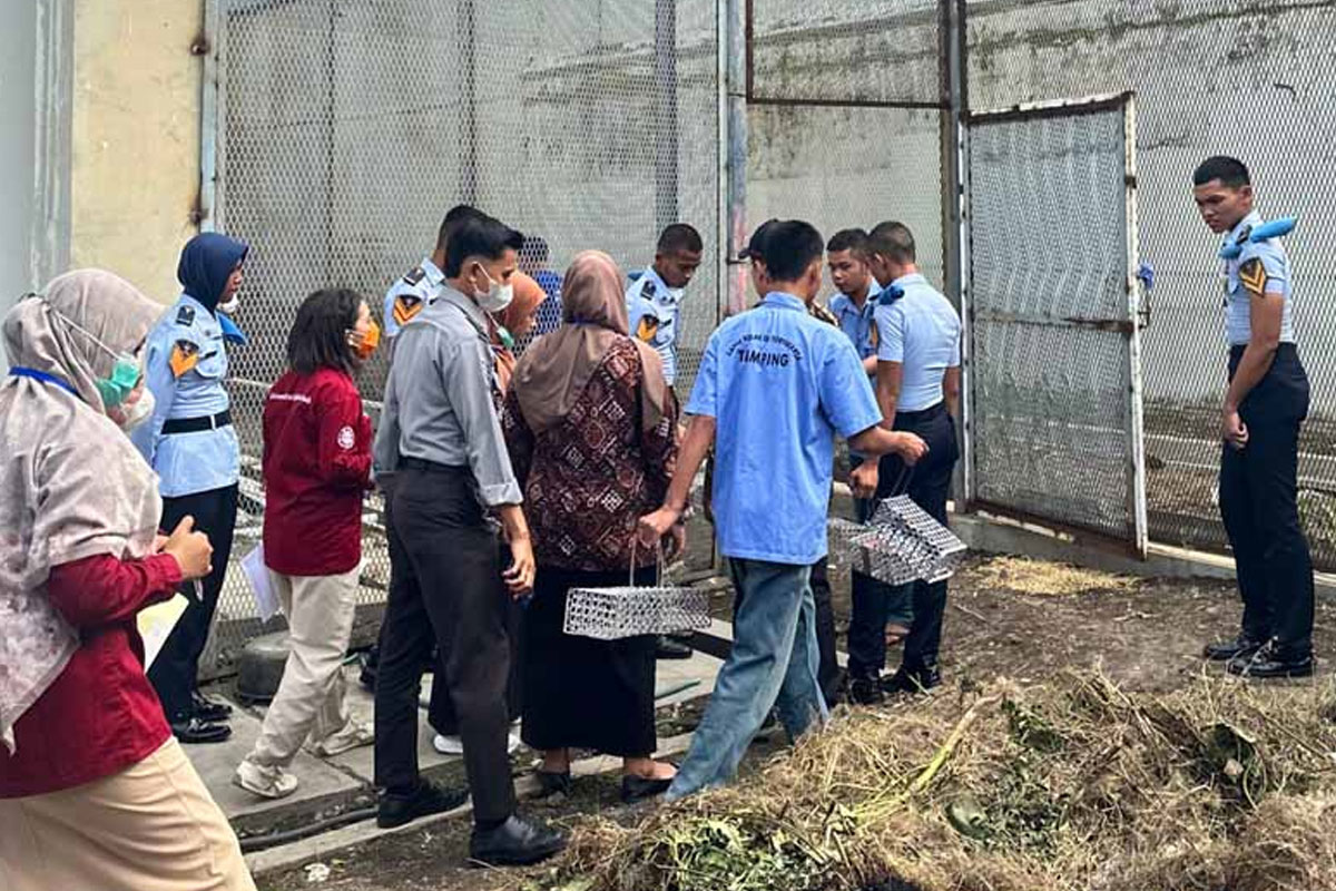 Leptospirosis Mengganas di Kota Jogja Sepanjang 2025, Dinkes Buka Fakta Bahaya Flu Tikus