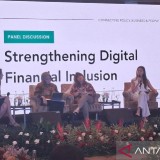 Kemen UMKM Genjot Literasi Digital demi Capai Target Kewirausahaan 3,6 Persen