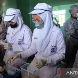 Kemendikdasmen dan Wadhwani Foundation Hadirkan JobReady, Perkuat Soft Skills Siswa SMK