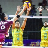Jaga Asa ke Final Four, Jakarta Electric PLN Mobile Taklukkan Bandung bjb Tandamata