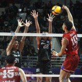 Proliga 2026, LavAni Unjuk Ketangguhan dengan Bekuk Garuda Jaya Tiga Set Langsung