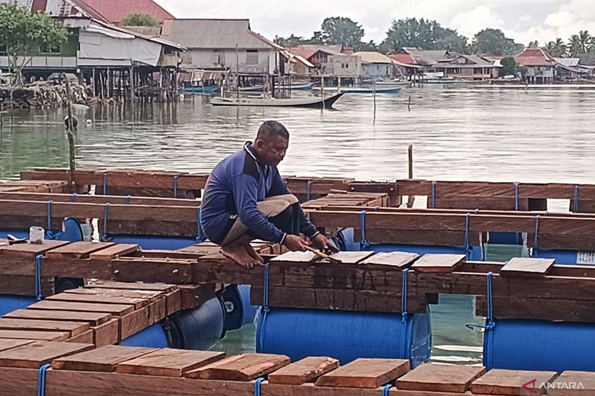 IPB Kembangkan Konsep Sea Farming Berbasis Adat di Wakatobi