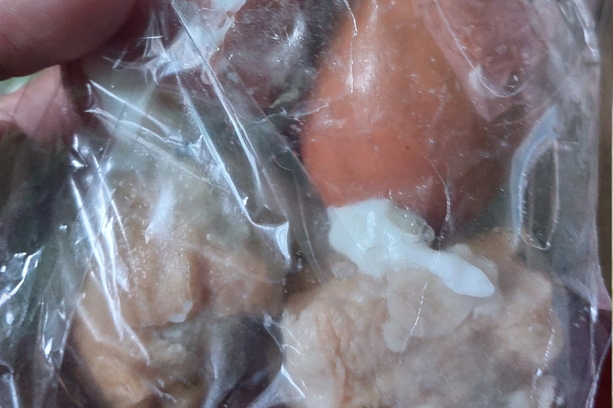 SPPG di Pakuniran Probolinggo Sajikan Menu MBG Tahu Pentol Berulat dan Bakpau Berjamur